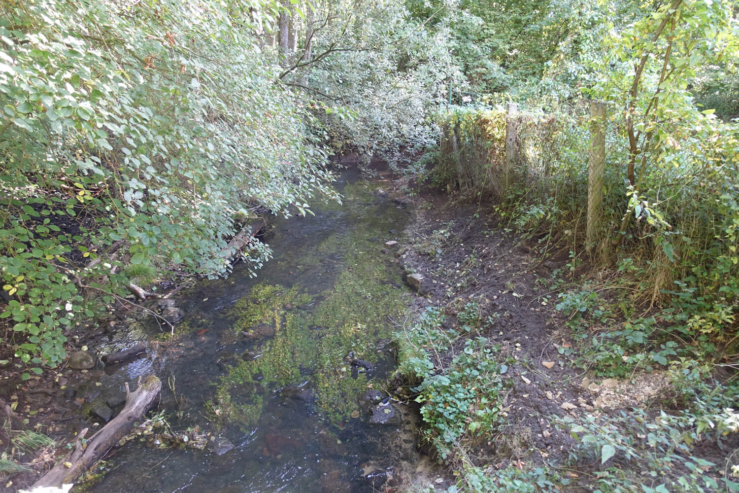 Wesendahler M&uuml;hlenflie&szlig; im Sommer
